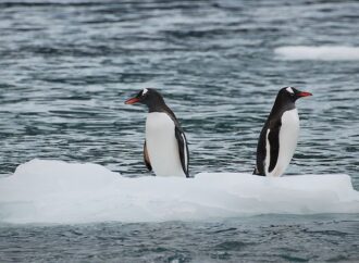 Gezegenin yeni denge arayışı: İklim Eylemi, doğa ve insan uyumunun dönüşümü