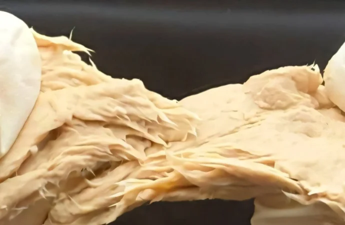 Çinli bilim insanları et benzeri süper proteinli mantar geliştirdi