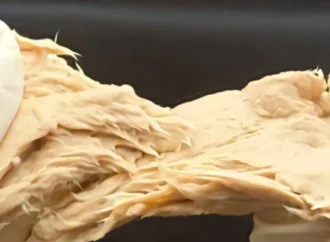 Çinli bilim insanları et benzeri süper proteinli mantar geliştirdi