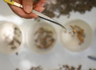 Kahramanmaraş’ta 13 bin yıl öncesine ait izler bulundu