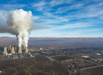 Doğa İçin Sorumluluk Hepimizde:  TEMA Vakfı 2025’in Çevre Olaylarını Değerlendirdi