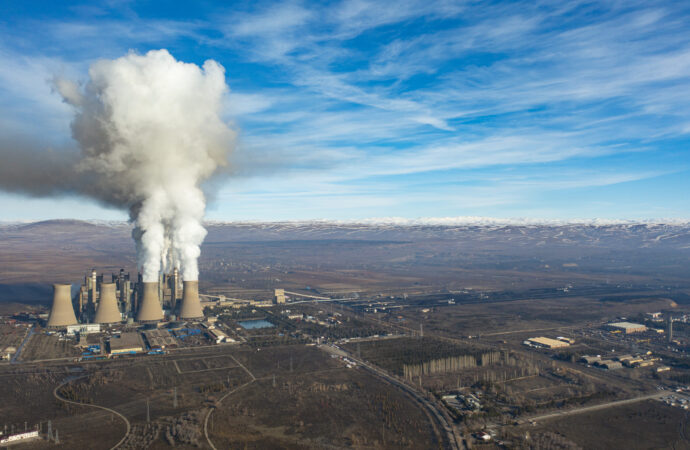 Doğa İçin Sorumluluk Hepimizde:  TEMA Vakfı 2025’in Çevre Olaylarını Değerlendirdi