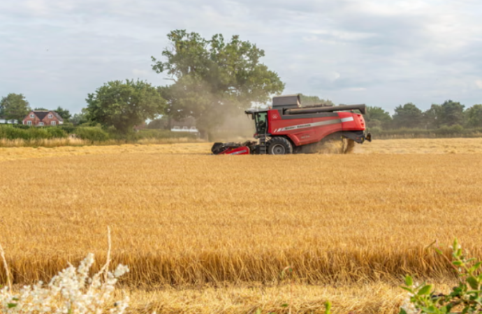 Artan karbondioksit  gıdaları daha kalorili ancak daha az besleyici hale getiriyor