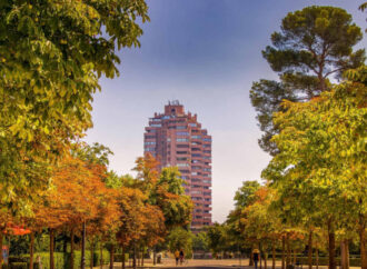 Madrid park ve yeşil alan yönetiminde yapay zekâ dönemini başlatıyor