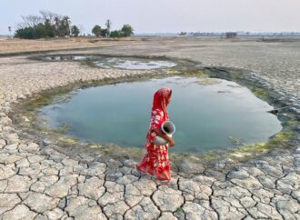 FAO: Tatlı su kaynakları üzerindeki baskı hızla artıyor