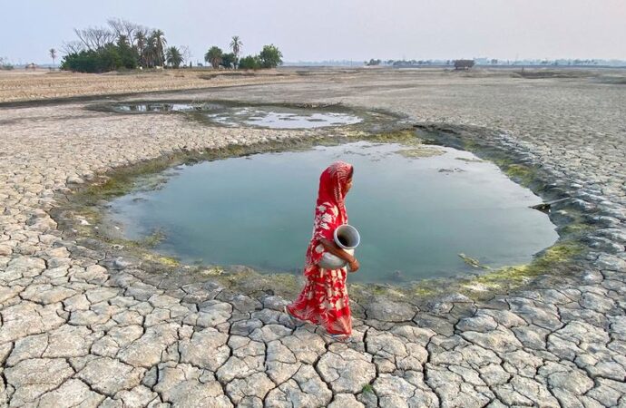FAO: Tatlı su kaynakları üzerindeki baskı hızla artıyor