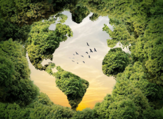 Ekolojik miyopluk: İklim eylemini yavaşlayan kör nokta