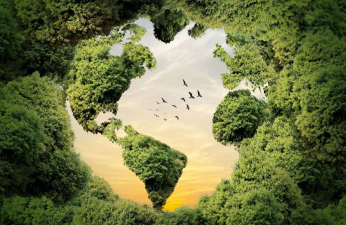 Ekolojik miyopluk: İklim eylemini yavaşlayan kör nokta