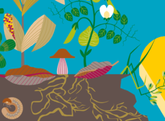 Toprak Atlası 2025: Türkiye’de toprak kaybı ciddi boyutta