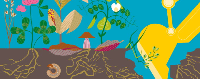 Toprak Atlası 2025: Türkiye’de toprak kaybı ciddi boyutta