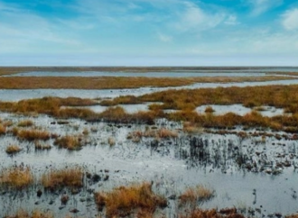 Sulak alanların tahribi iklim dengesini, biyoçeşitliliği, su kaynaklarını ve toplum sağlığını tehdit ediyor