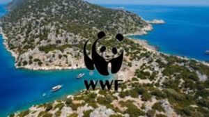 WWF Türkiye: Kaş-Limanağzı’nda doğal ve arkeolojik miras tehlikede