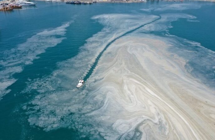 Marmara Denizi’nde unutulan müsilaj tehdidi devam ediyor