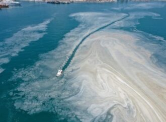 Marmara Denizi’nde unutulan müsilaj tehdidi devam ediyor