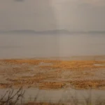 ‘‘Korean Demilitarized Zone’’ 70 yılda yaban hayatı cennetine dönüştü