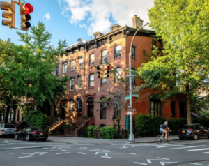 Ağaç zengini gölge yoksunu kentlerde derinleşen ısı sorunu