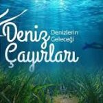 İş Bankası ve TÜDAV deniz çayırları için birlikte mücadele ediyor