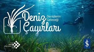 İş Bankası ve TÜDAV deniz çayırları için birlikte mücadele ediyor