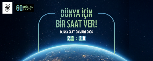 Dünya saati 2026: bir saatlik küresel hareket geleceğe umut oluyor