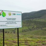 Watsons Türkiye’den 500 bin fidan bağışı