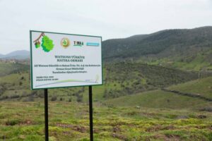 Watsons Türkiye’den 500 bin fidan bağışı