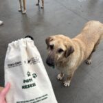 Maruderm’den HAYTAP iş birliğiyle anlamlı adım: “Pati Kesesi” ile iyilik günlük hayata taşınıyor