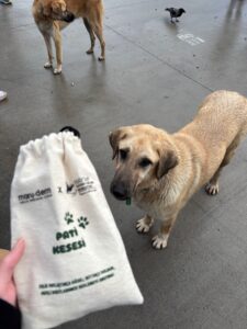 Maruderm’den HAYTAP iş birliğiyle anlamlı adım: “Pati Kesesi” ile iyilik günlük hayata taşınıyor