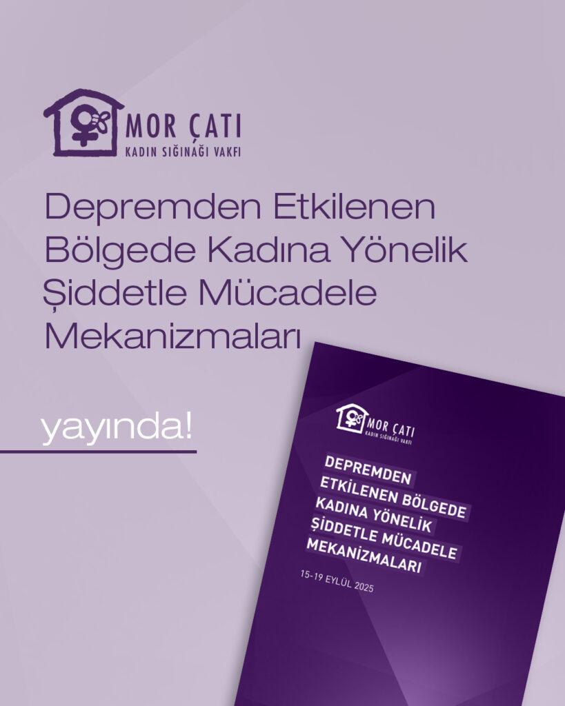 Depremden 2,5 yıl sonra: Kadına yönelik şiddetle mücadele mekanizmaları hâlâ yetersiz