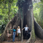 Afrika’nın ormanları karbon yutağından karbon kaynağına dönüştü