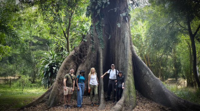 Afrika’nın ormanları karbon yutağından karbon kaynağına dönüştü