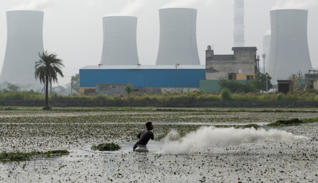 Hindistan’ın yeni iklim hedefi emisyon yoğunluğunda yüzde 47 azaltım