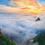 UNESCO koruma alanları gezegenin can damarları