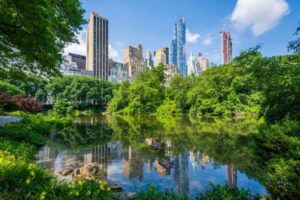 New York kent genelinde “Şehir Ormanı Planı”nı başlattı