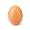 Instagram’da rekor kıran yumurtanın ardındaki sır ortaya çıktı