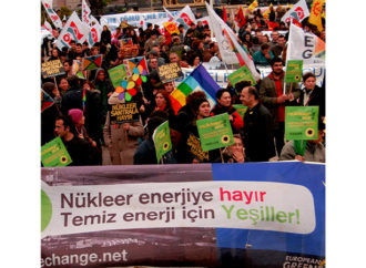 Türkiye’de Yeşiller Meclisi kuruluyor