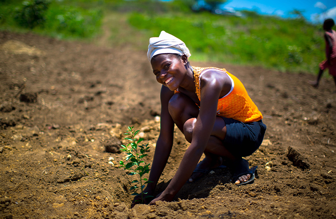 Beş yılda 50 milyon ağaç dikme taahhüdü