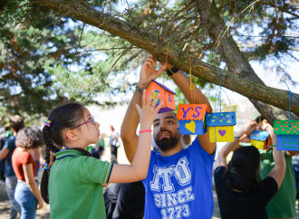 İTÜ rengarenk kuş yuvalarıyla donatıldı