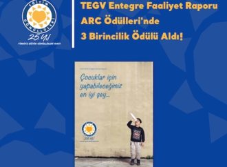 TEGV, üç kategoride Altın Ödüle layık görüldü