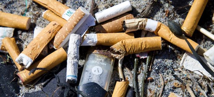 Sigara izmaritindeki mikroplastiklere karşı mücadele başlatılıyor