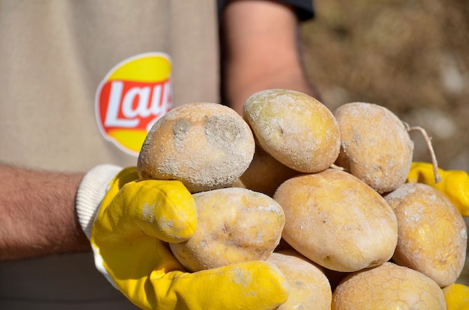 Lay’s Yenileyici Tarım Fonu için başvurular açıldı
