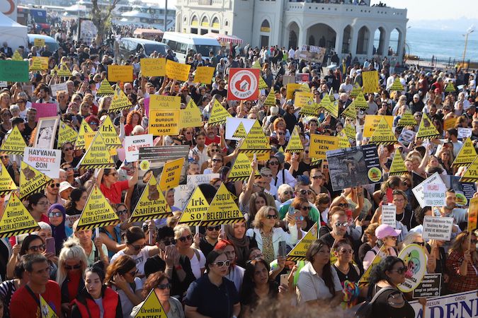 Hayvan hakları savunucuları öldürme, kısırlaştır ve yaşat dedi