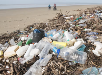 Dünyadaki plastik kirliliğinin yarısı 60 şirketten kaynaklanıyor 