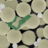 Sulardan bakteri ve mikroplastik toplayan mini robotlar