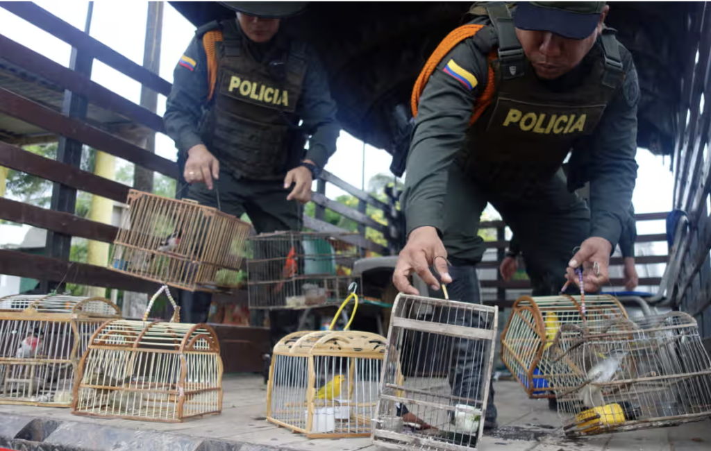UNODC yasadışı yaban hayatı ticaretinin doğaya verdiği zarar konusunda uyarıyor