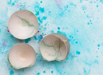 Yumurta kabukları çevre dostu gübreye dönüştürülüyor
