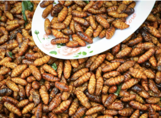 Singapur 16 böceğin gıda olarak tüketilmesine onay verdi