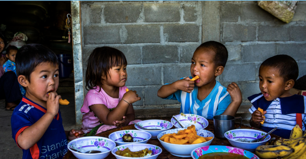 Dünyada Gıda Güvenliği ve Beslenme Durumu (SOFI) 2024 raporu