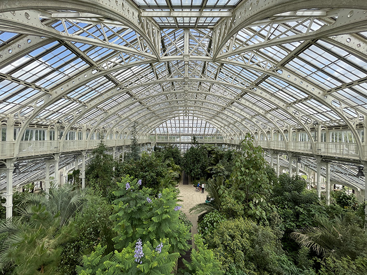 Bitki biliminin ilkleri ve teklerine ev sahipliği yapan Londra’daki Kew Gardens’dan dijital bitki kütüphanesi