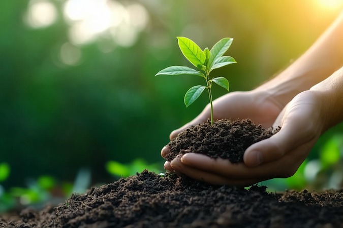 TEMA Vakfı: Toprağa Özen Göster, Gelecek İçin Ölç, İzle, Yönet