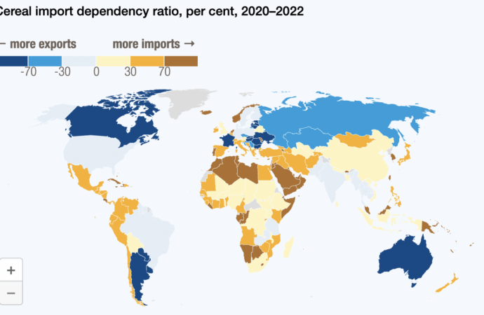 UNCTAD raporu: Ticaret kronik açlıkla mücadeleyi güçlendirebilir